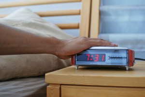 Bild: JcJgPhotography - stock.adobe.com