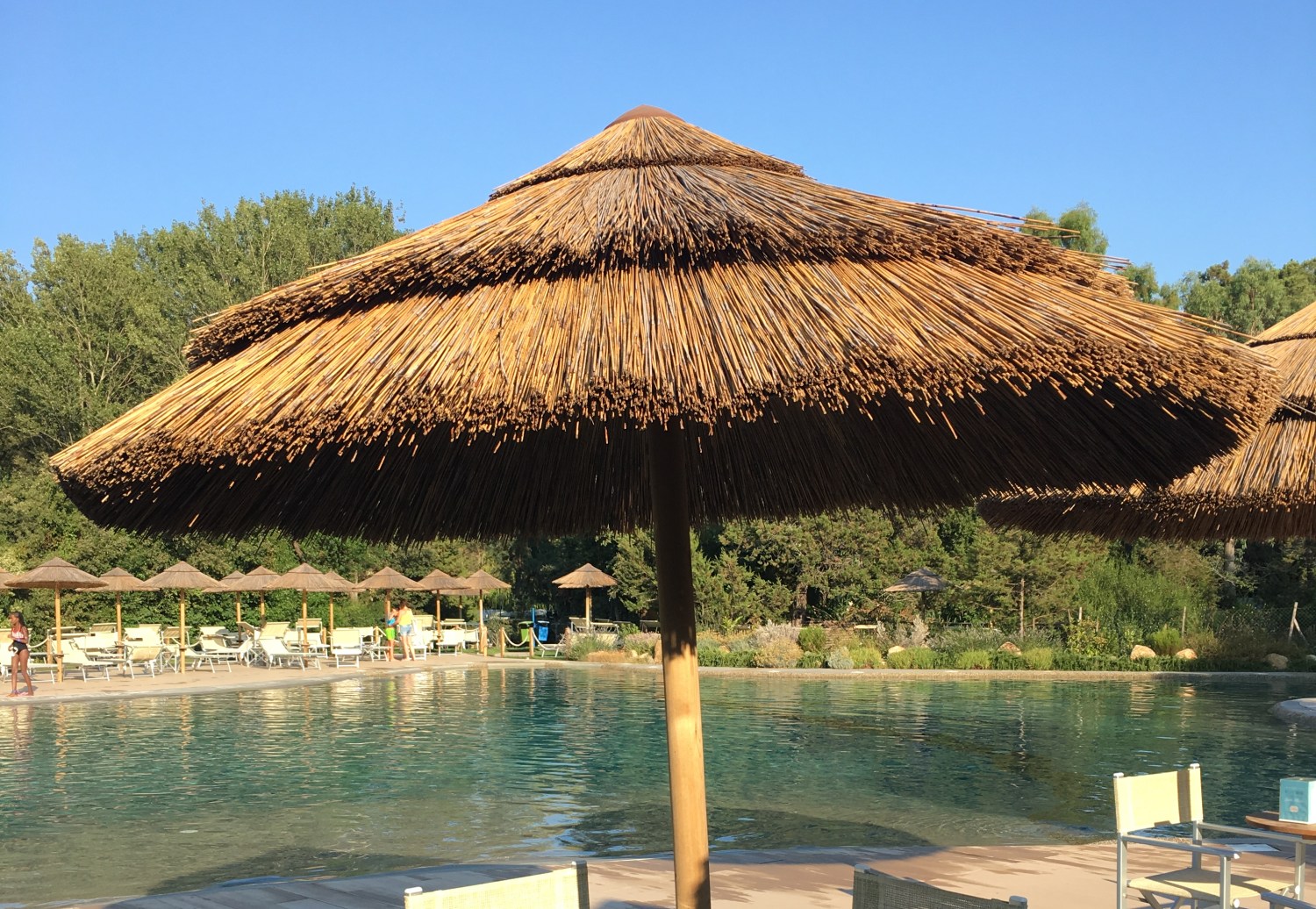 Apotheke Digitalisierung