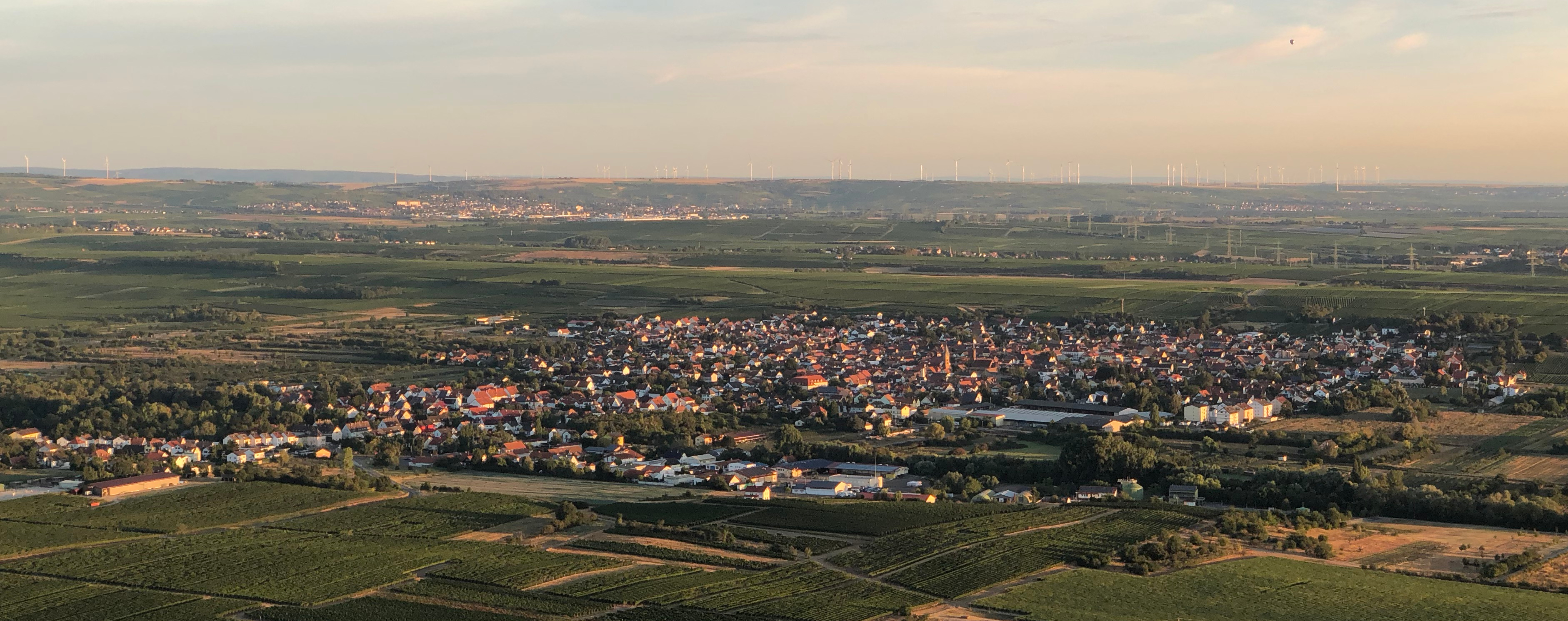 Apotheke Digitalisierung Telemedizin Asthma
